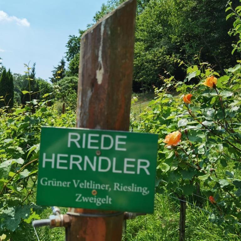 Privatzimmer Am Weinbrunnen Vorchdorf Dış mekan fotoğraf